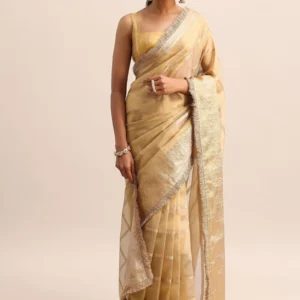 Champagne Gold Silk Saree with Zari Woven Border and Frill Detailing ✨🥂