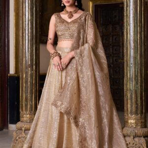 Women’s Crush Silk Zari Embroidery Work Lehenga Choli | Traditional Ethnic Wear Outfit with Elegant Flare, Rich Design & Comfortable Fit for Wedding, Festive & Cultural Occasions